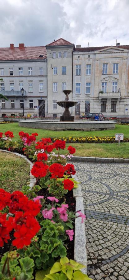 Apartament Ksiaz Świebodzice Exterior foto